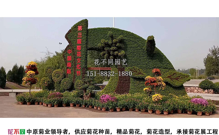 南陽菊花展造型主景實拍圖