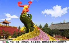 <b>菊花造型的栽培方法與養(yǎng)護注意事項</b>