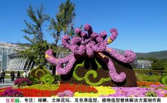 <b>【花不同】在菊展中對菊花造型扎作的創(chuàng)新探索</b>